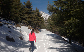 ...y montaña